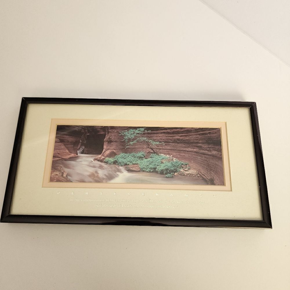 Successories Perseverance Lifescspes Lithograph Of Grand Canyon National Park